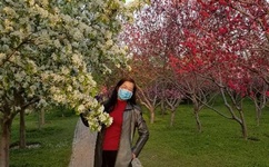 活死人之地中文版